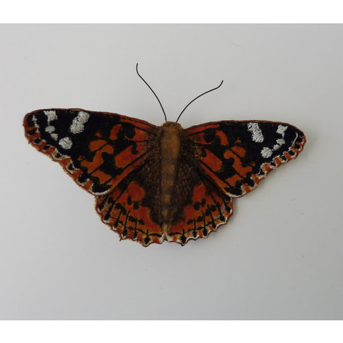 Vikki Lafford Garside Painted Lady British Butterfly Embroidered boxed Brooch 007 Vikki Lafford Garside Painted Lady British Butterfly Embroidered boxed Brooch 007