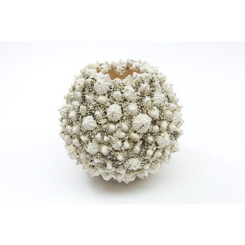 Anne Haworth Beneath the Waves stoneware 02 Anne Haworth Beneath the Waves stoneware 02