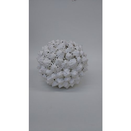 Anne Haworth Plant Form stoneware 03 Anne Haworth Plant Form stoneware 03