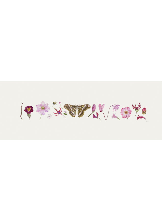 Estampe Pink Flora and Bee Line - édition de 200 avec passe-partout 014