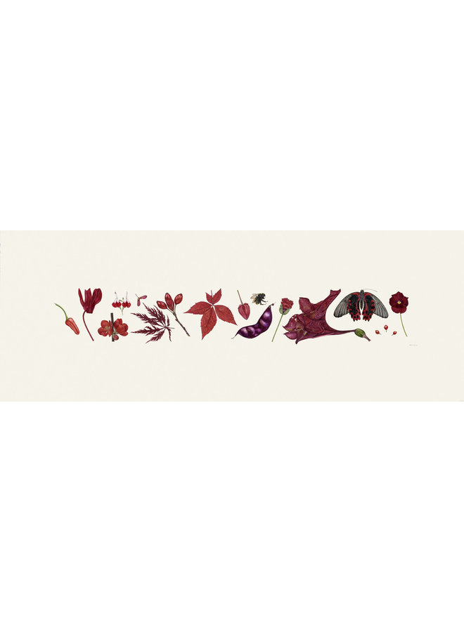 Red Flora and Bee Line print - edition of 200 with mount 015