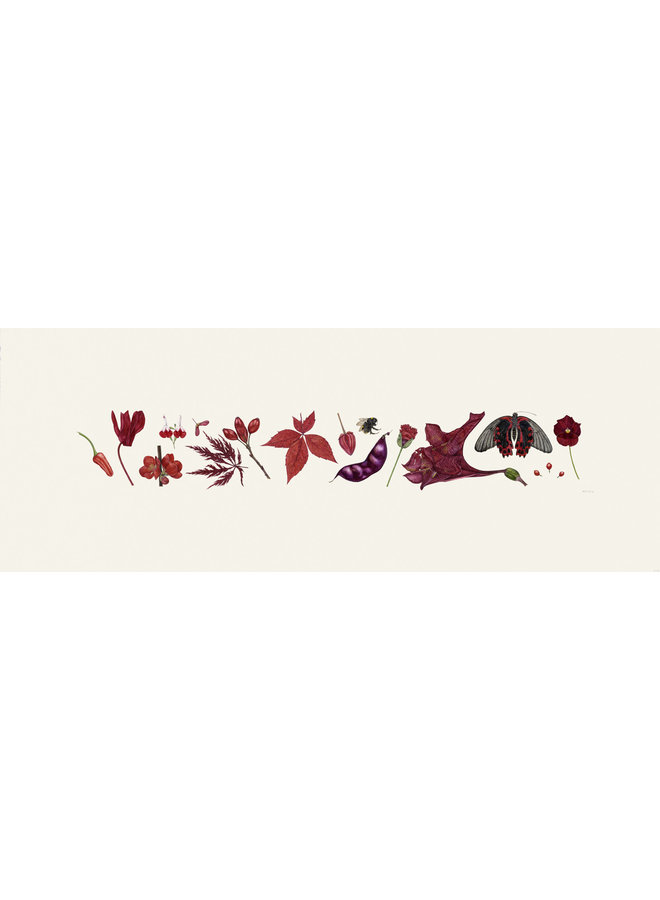 Red Flora and Bee Line print - edition of 200 with mount  015