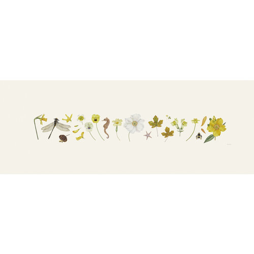 Rachel Pedder-Smith Gelber Flora und Bee Line Print - Auflage 200 mit Montierung 016 Rachel Pedder-Smith Gelber Flora und Bee Line Print - Auflage 200 mit Montierung 016