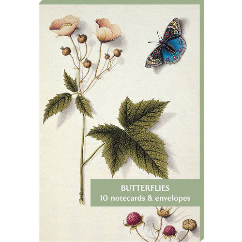 Fitzwilliam Museum Schmetterlinge 10 Notecard Pack Fitzwilliam Museum Schmetterlinge 10 Notecard Pack