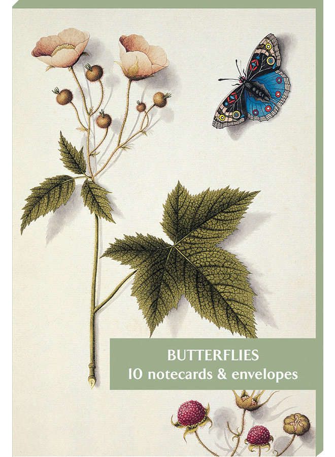 Paquet de 10 cartes de correspondance Papillons