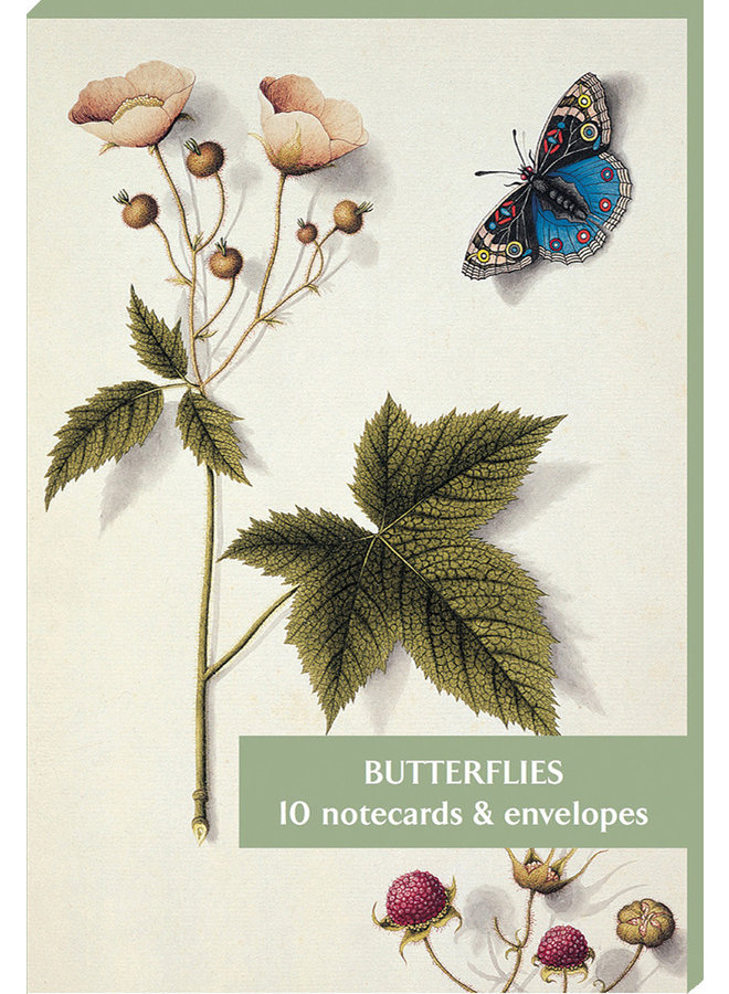 Paquete de 10 tarjetas de mariposas