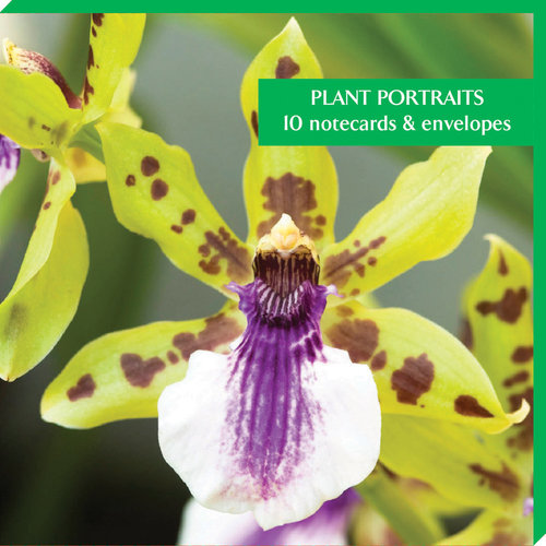 Fitzwilliam Museum Pack de 10 cartes de notes Portraits de plantes Fitzwilliam Museum Pack de 10 cartes de notes Portraits de plantes