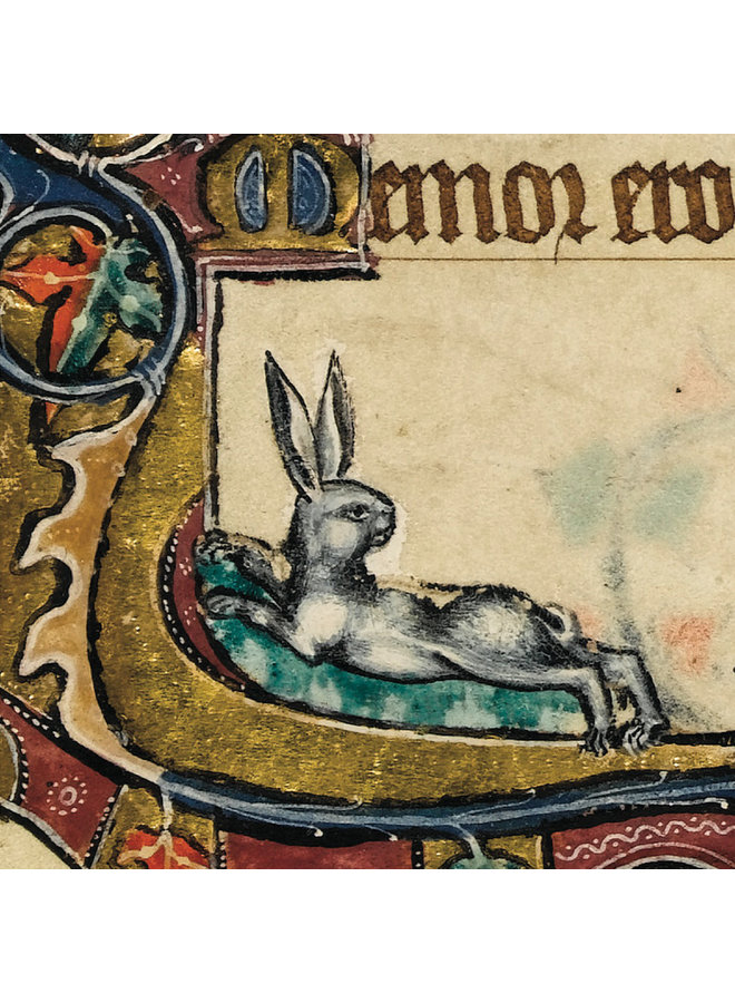 Rabbits & Hares 10 Notecard Pack