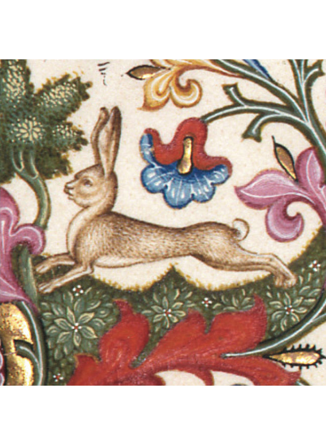 Rabbits & Hares 10 Notecard Pack