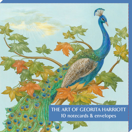 Fitzwilliam Museum Die Kunst von Georita Harriott 10 Notecard Pack Fitzwilliam Museum Die Kunst von Georita Harriott 10 Notecard Pack