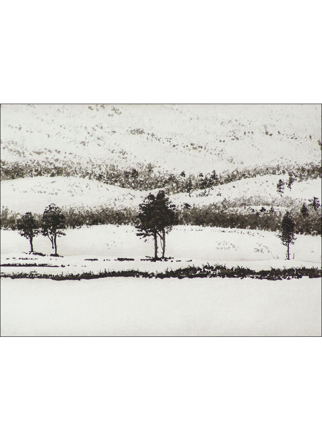 On Kungsleden, Abisko - etching  21 framed