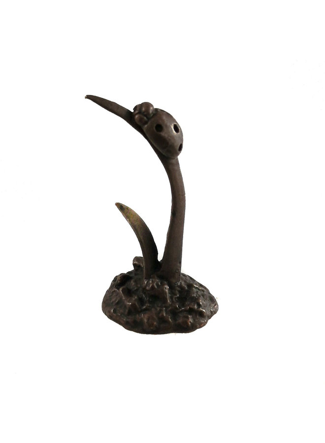 Ladybird on Grass 63