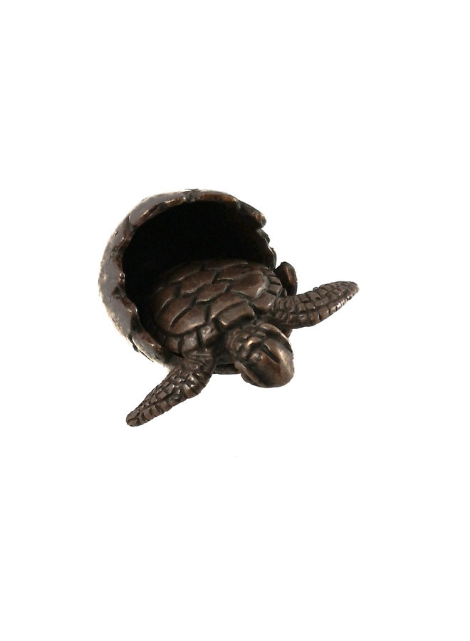 Turtle in Egg Shell 2 parts bronze 70
