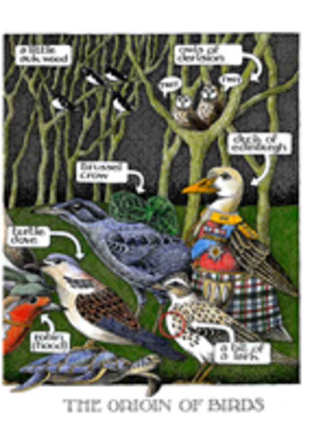 Карточка «Происхождение птиц» 105