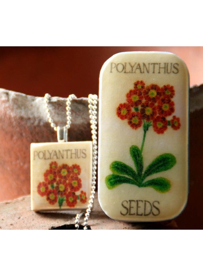 Polyanthus Scrabble T Tile Colgante y Tiny Tin 10