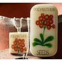 Polyanthus Scrabble T Tile Colgante y Tiny Tin 10