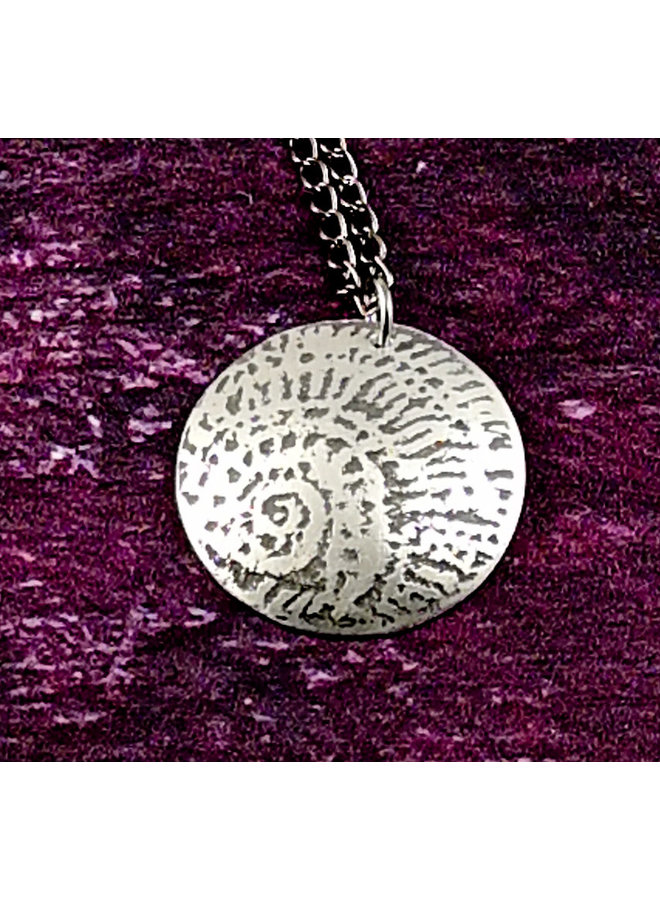 Ammonite metal light dome  pendant 43