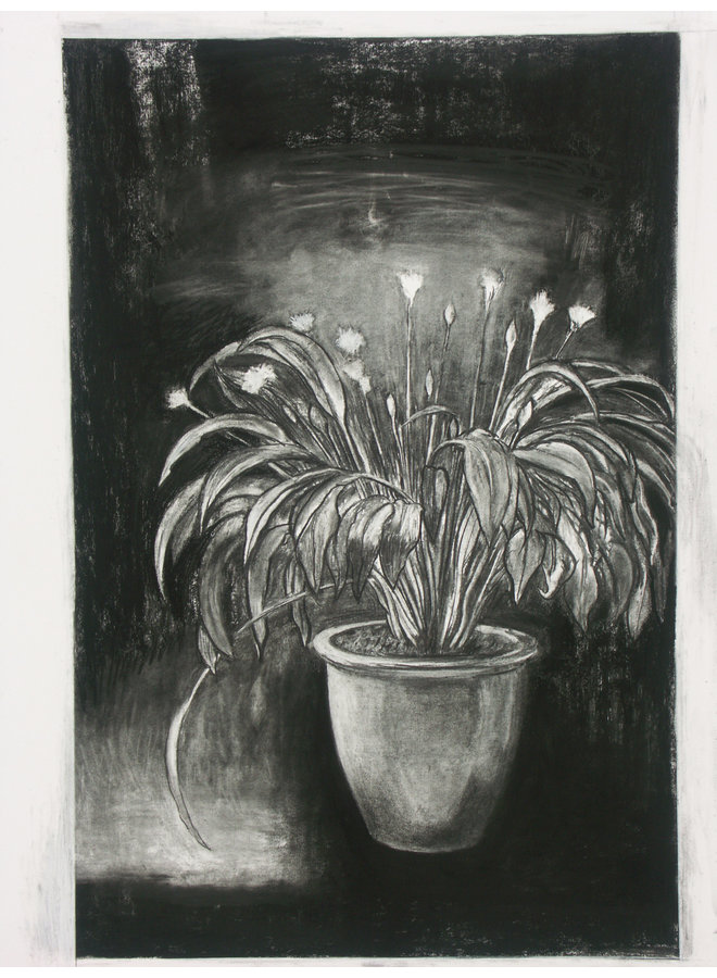 King Ransom charcoal on paper 69