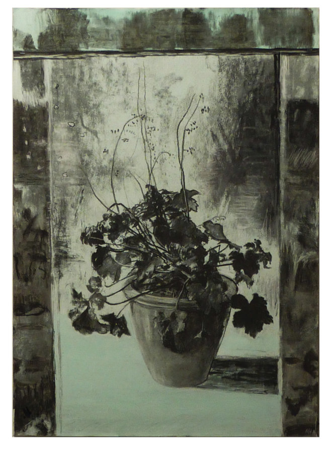 Heuchera charcoal and acrylic on paper 68