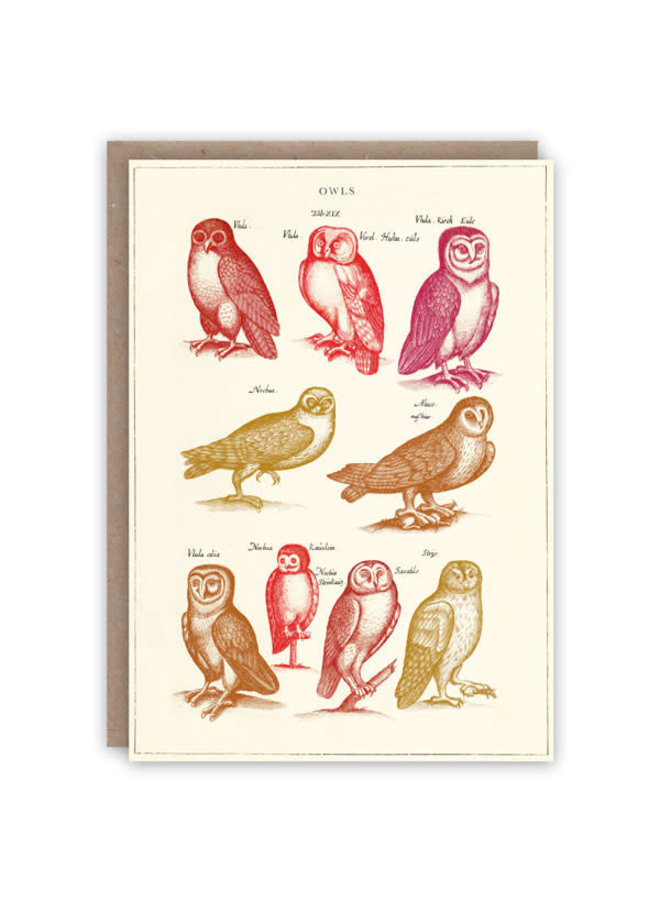 Owls pattern book card