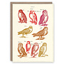 Owls pattern book card