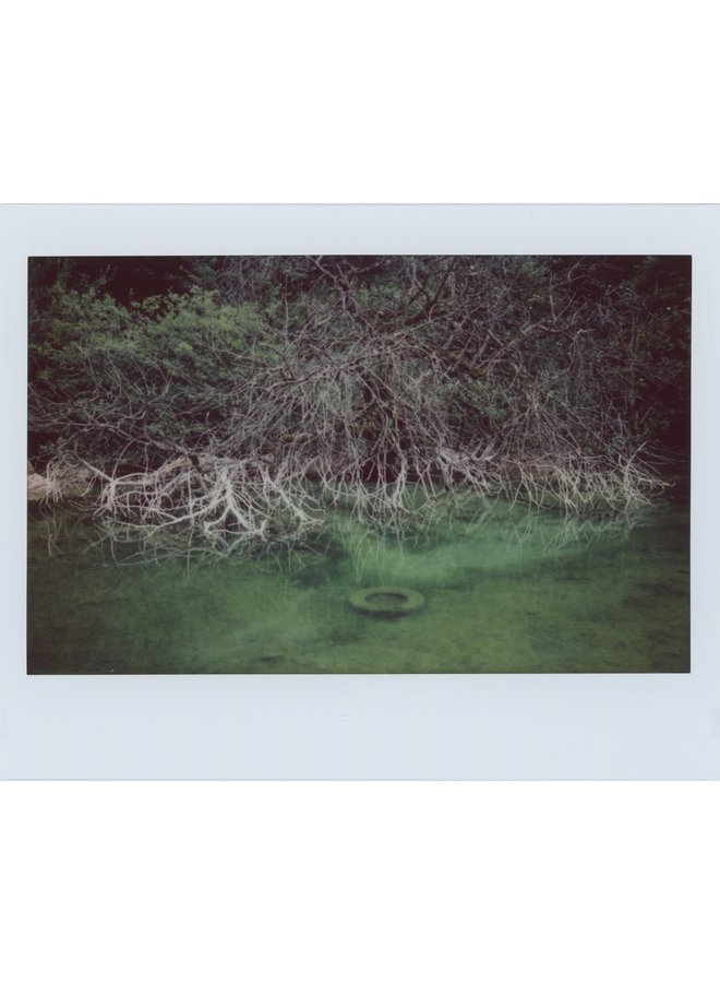 Kantenlinien und Spektralpunkte 1.