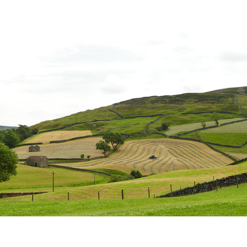 Paul Croft Keld No. 1 Fotograph, gerahmt 07 Paul Croft Keld No. 1 Fotograph, gerahmt 07