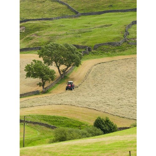 Paul Croft Keld No 3. - 19 Paul Croft Keld No 3. - 19
