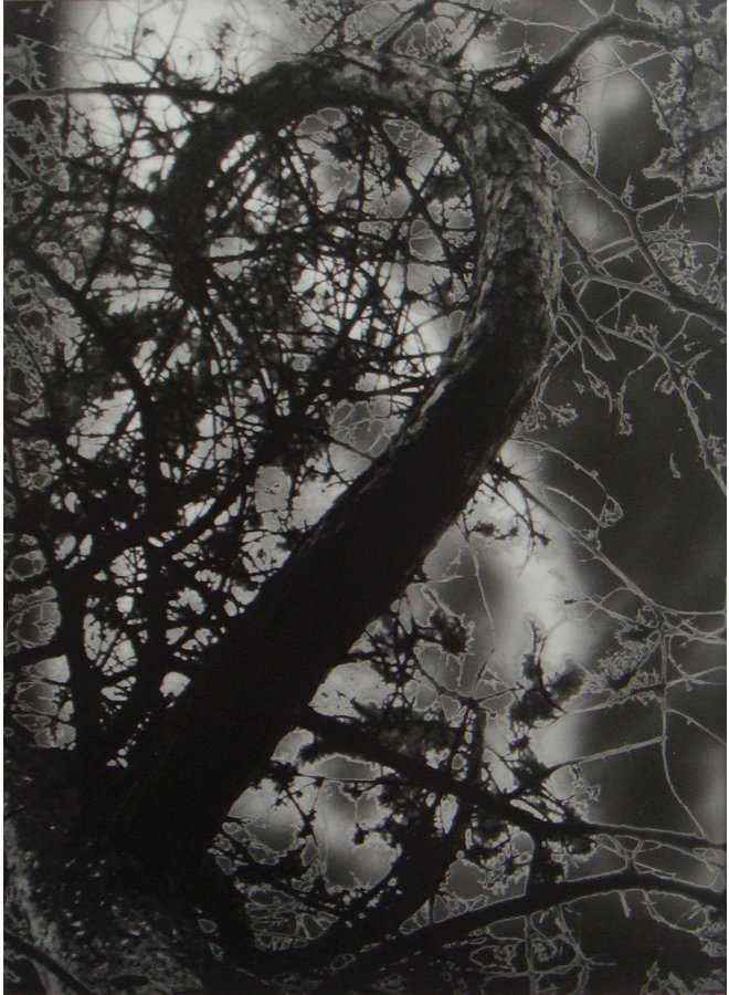 Spiral - sanattier photography