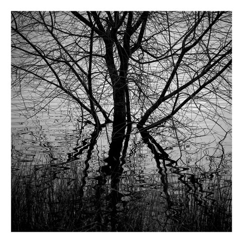 Peter Defty Ogden Water, West Yorkshire - Elemente der Landschaftsserie Peter Defty Ogden Water, West Yorkshire - Elemente der Landschaftsserie