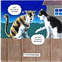 Catty Remark Humorous Cat card 11