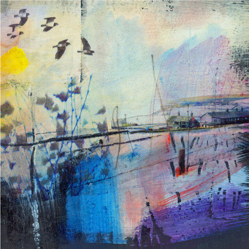 Kate Boyce Art Kiebitze im Flug drucken 20 Kate Boyce Art Kiebitze im Flug drucken 20
