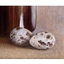 Oeufs de Cailles et Bouteille Marron 032