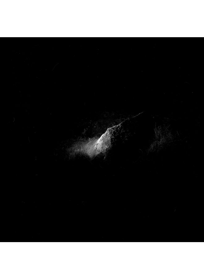 The Lizard 2019 - 1 - photograph 01