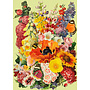 Next to the Potting Shed card