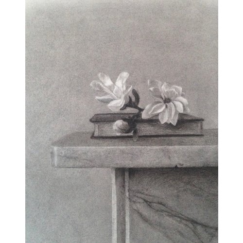 Linda Brill Magnolia Stellata Giclée-Druck 026 Linda Brill Magnolia Stellata Giclée-Druck 026