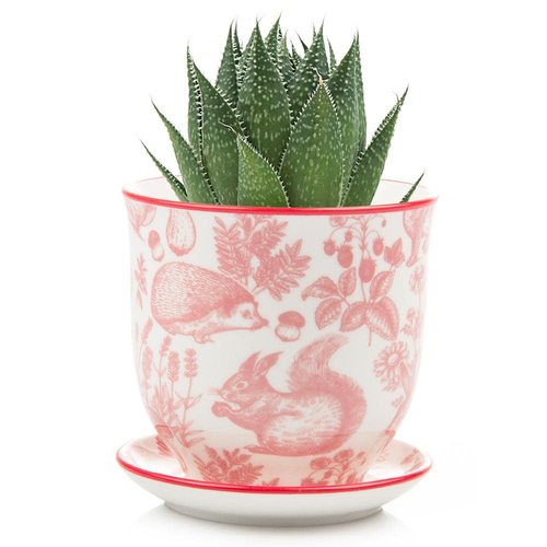 Chive Red Squirel Liberte ceramic mini planters 007 Chive Red Squirel Liberte ceramic mini planters 007