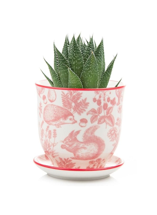 Red Squirel  Liberte ceramic mini planters 007