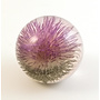 Open Thistle real flower paper weight 02