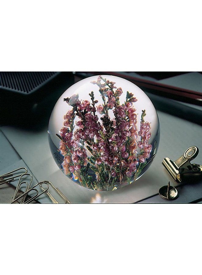 Heather real flower paper weight 10