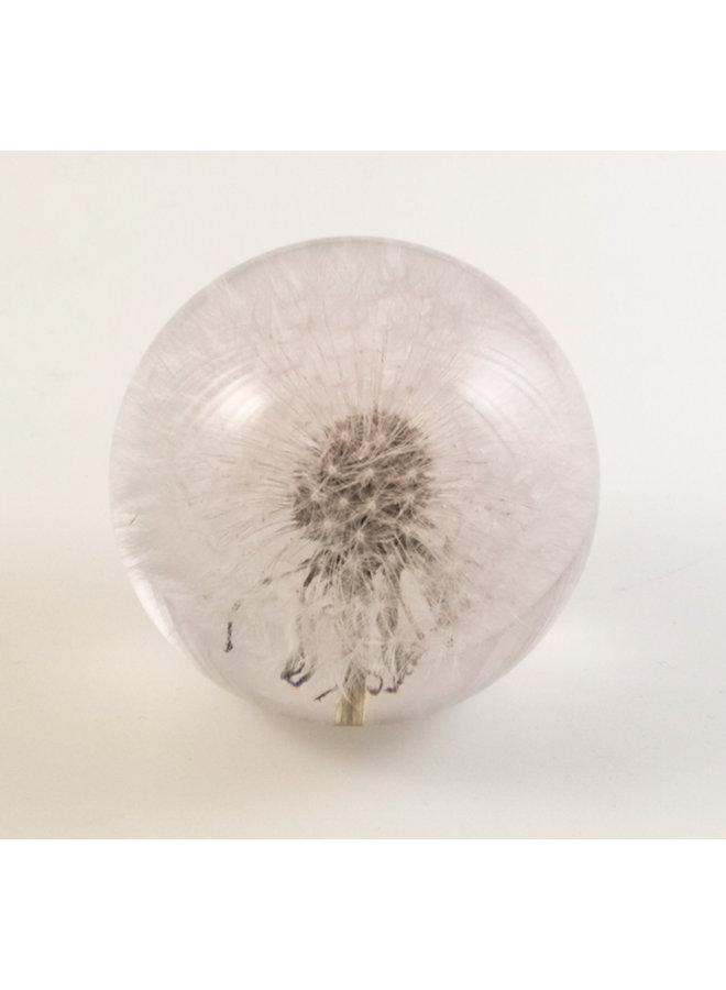 Briefbeschwerer mit echter Pusteblume 01