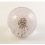 Dandelion real flower paper weight 01
