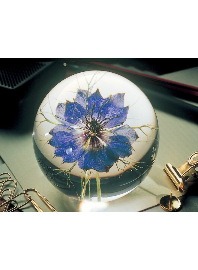 Nigella real flower paper weight 04