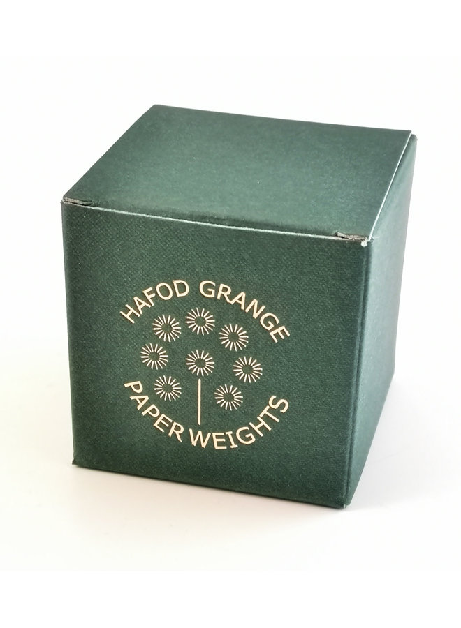 Forget me not real flower paper weight 09