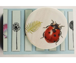 Ladybird And Fern Round Ceramic Pin Brooch 020 - Jewellery ...
