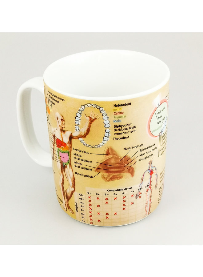 Taza Medicina grande del conocimiento