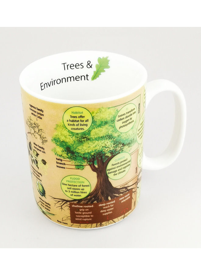 Кружка с большим объемом знаний о деревьях и окружающей среде