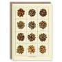 Coffee Beans pattern book card