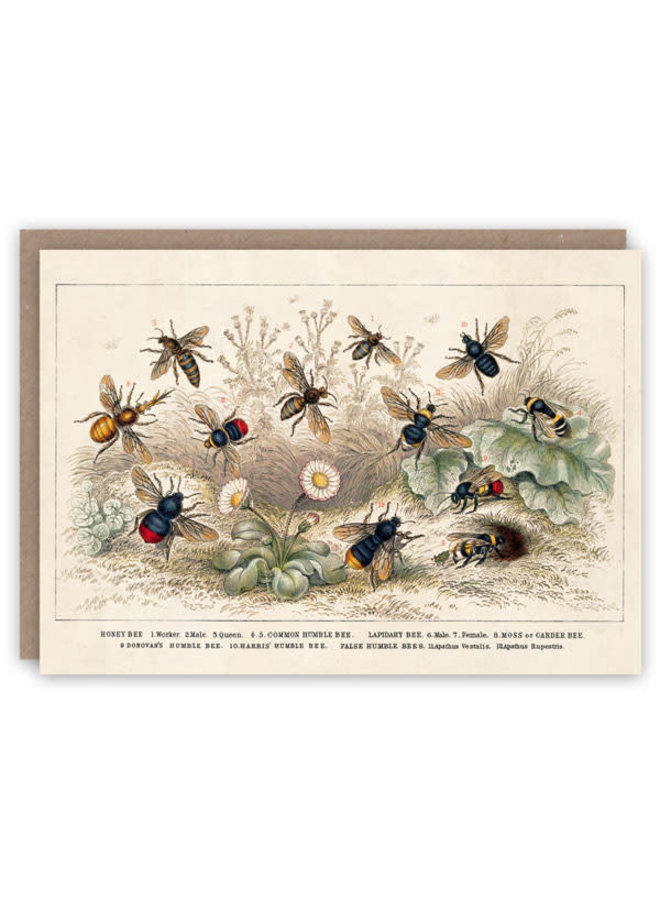 Carte de livre motif abeille