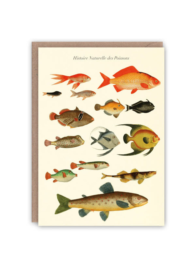 Histoire des Poissons pattern book card